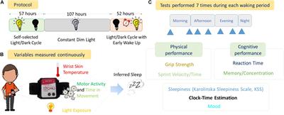 Living Without Temporal Cues: A Case Study